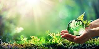 An Introduction to Ecospirituality